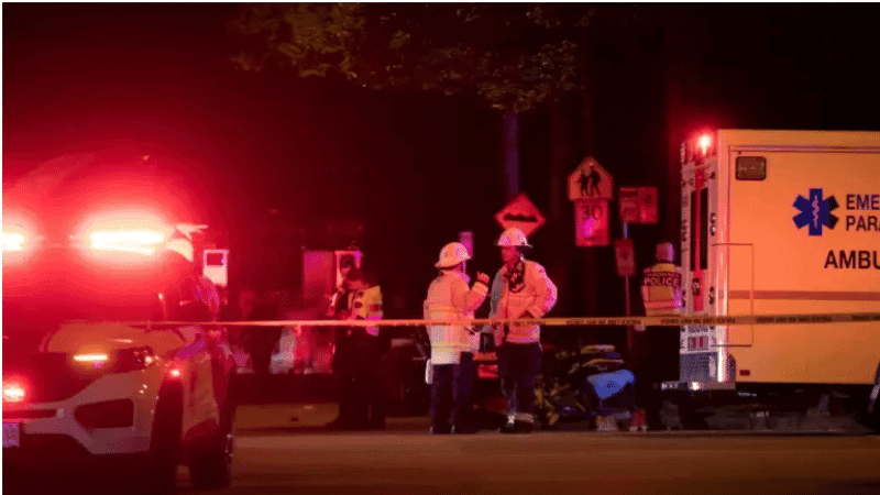 Multiple dead, several injured after vehicle plows into street fes