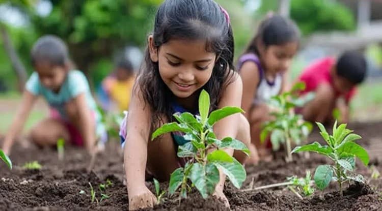 Primary schools directed to launch 'One Child, One Tree' programme