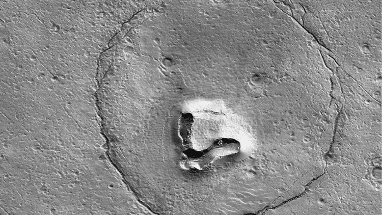 Bear lookalike on Mars
