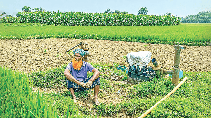 Diesel price hike raises Boro farming concerns