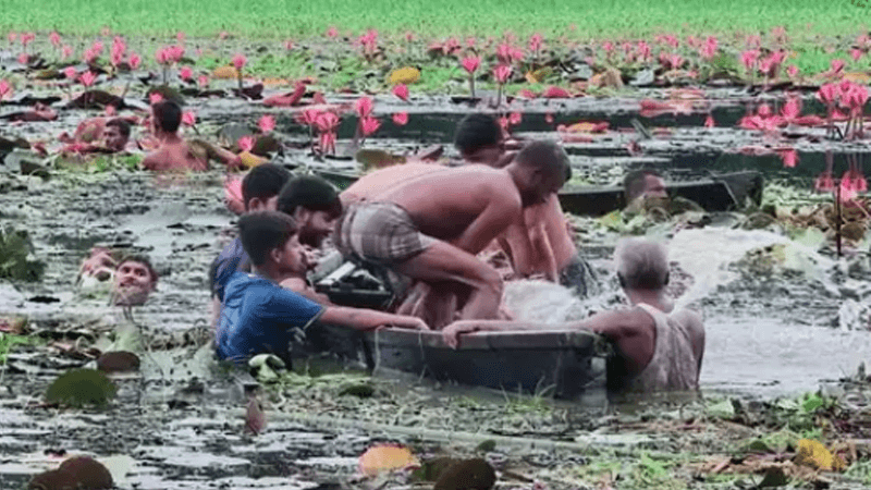 2 drown in boat capsize while collecting water lilies in Gazipur