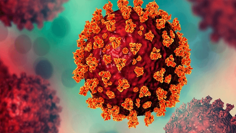 3 more die of COVID-19 across country, 19 new cases detected
