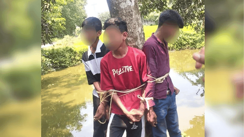 Three teens tied to tree, tortured over alleged banana theft in Pabna