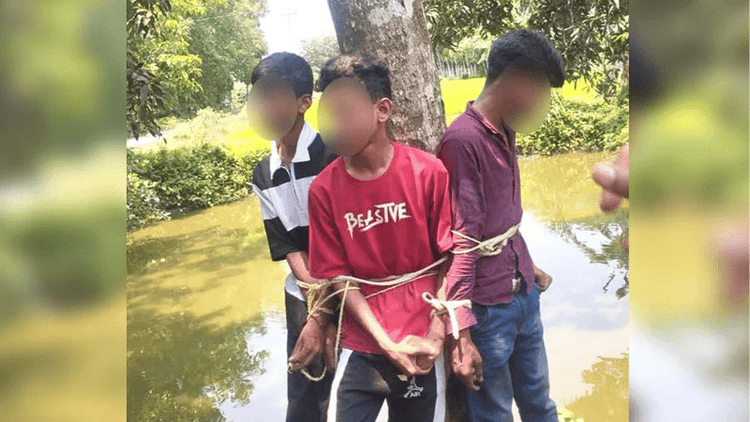 Three teens tied to tree, tortured over alleged banana theft in Pabna
