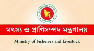 Livestock Directorate flags against fake import permit circulating online