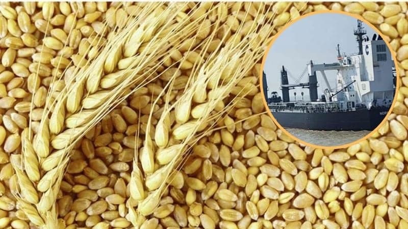 Bangladesh begins first-ever wheat import from US
