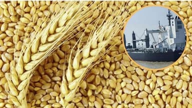 62,000 tonnes of wheat arrive from US