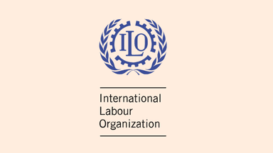 Only 5 percent of highly educated women work: ILO