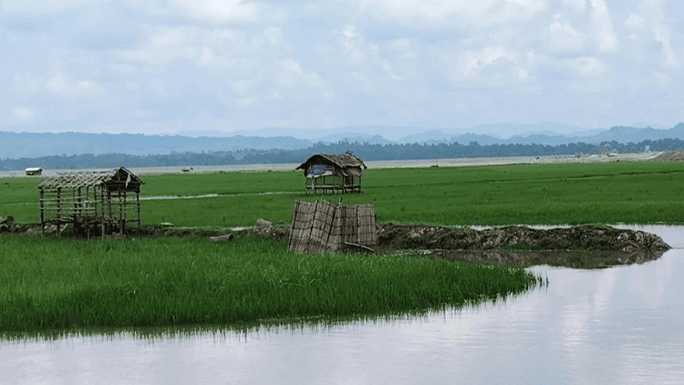 Rohingya youth's foot severed in landmine blast near Ukhia border
