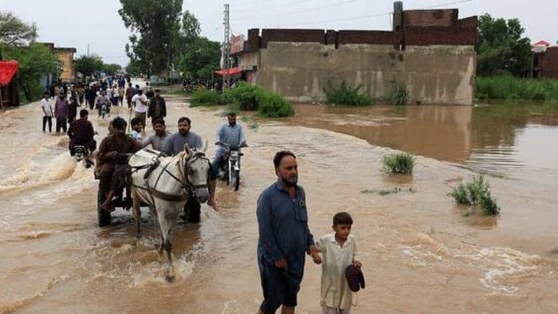 Severe flooding in Pakistan's Punjab province claims 15 lives
