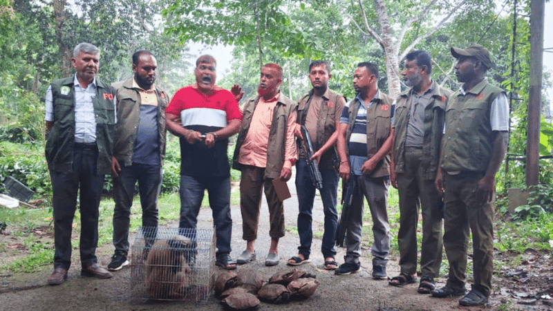 Smuggler arrested with rare Langur, 12 Turtles in Cox's Bazar
