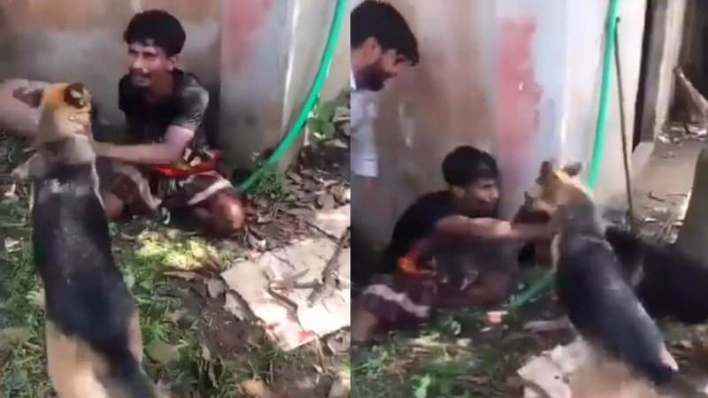 3 held over man mauled by dogs over theft allegation in Cumilla