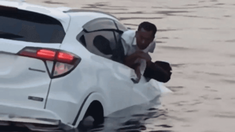 Private car falls from ferry into river