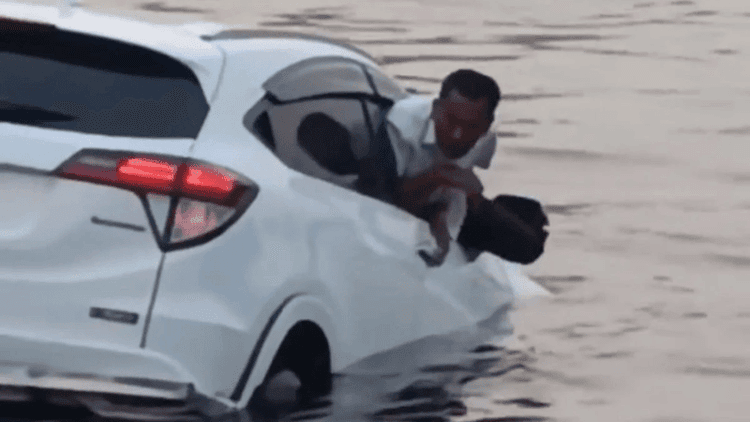 Private car falls from ferry into river