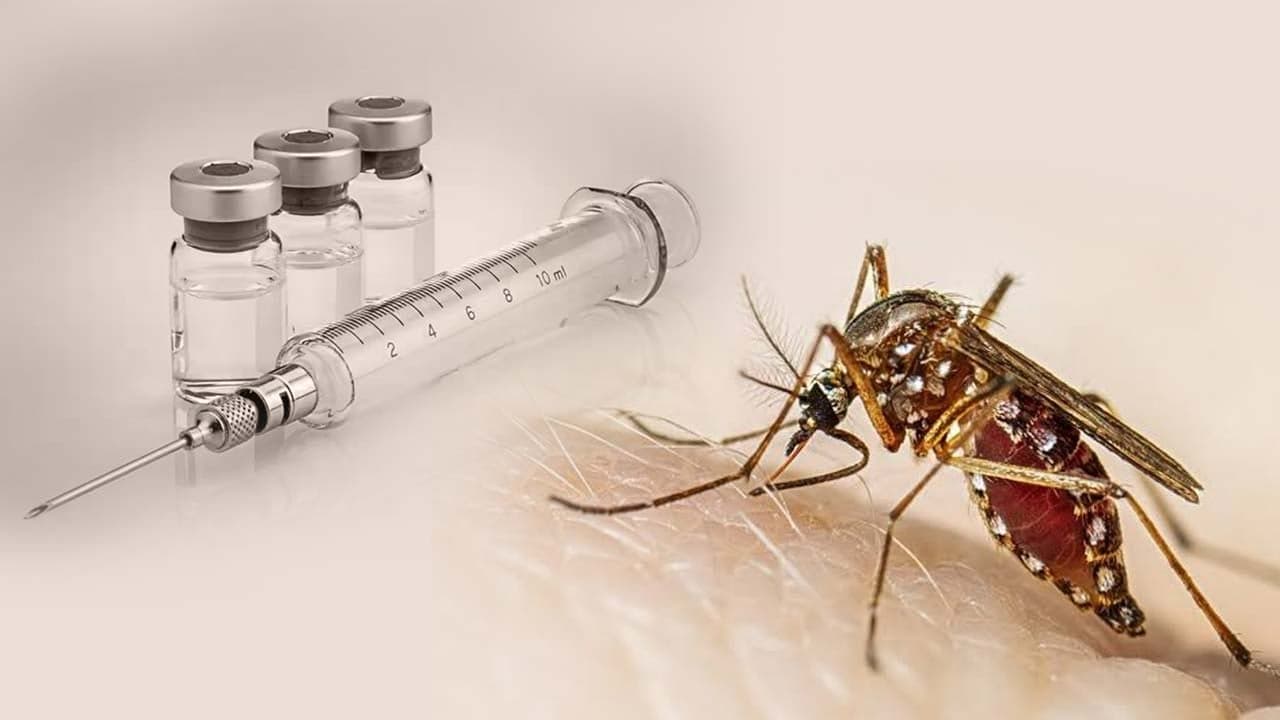 Dengue vaccine ‘DengiAll’ may hit Indian market by late 2027