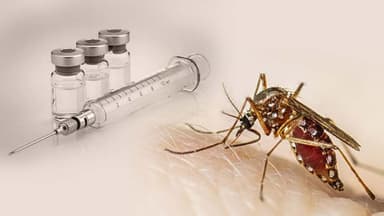 Four more deaths from dengue, 1,181 admitted to hospital
