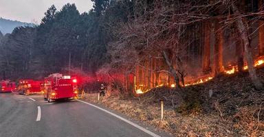 Largest wildfire in decades rages in Japan