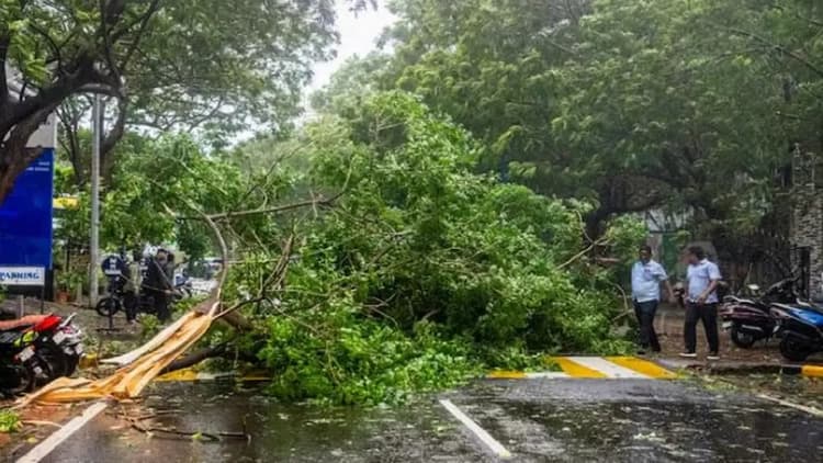 Cyclone Arnab makes landfall in Andhra Pradesh with 150 km/h winds