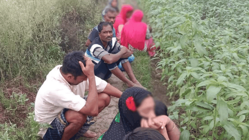 BSF push-in attempt foiled, 12 stranded at no man's land in Kushtia