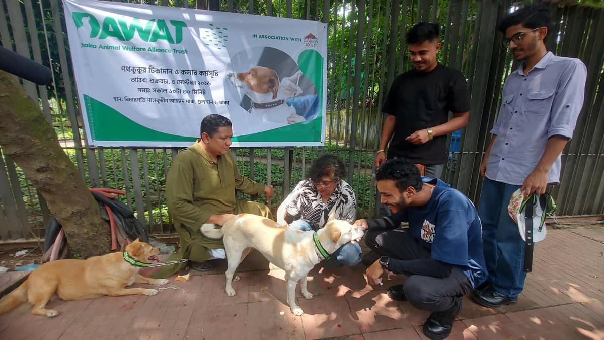 Gulshan Society, DAWAT launch vaccination drive for stray dogs in capital