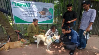 Gulshan Society, DAWAT launch vaccination drive for stray dogs in capital