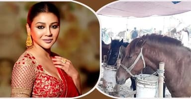 High Court issues rule on horse meat consumption following Jaya Ahsan’s writ