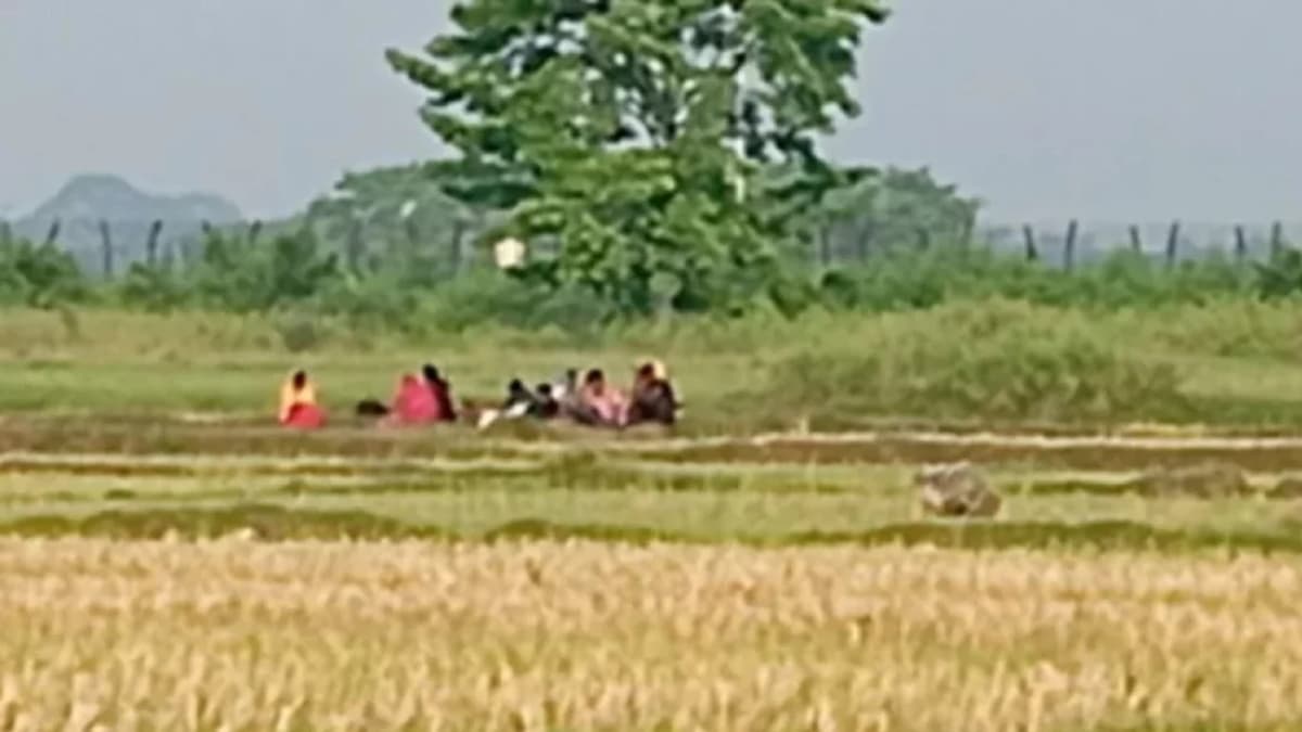 BSF removes people gathered for push-in at Benapole border