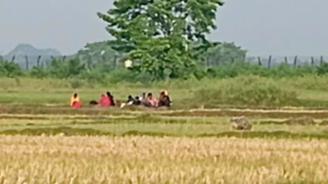 BSF removes people gathered for push-in at Benapole border