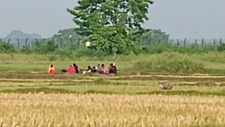 BSF removes people gathered for push-in at Benapole border