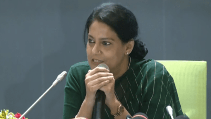 Ensure legal protection for environmental human rights defenders: Rizwana Hasan