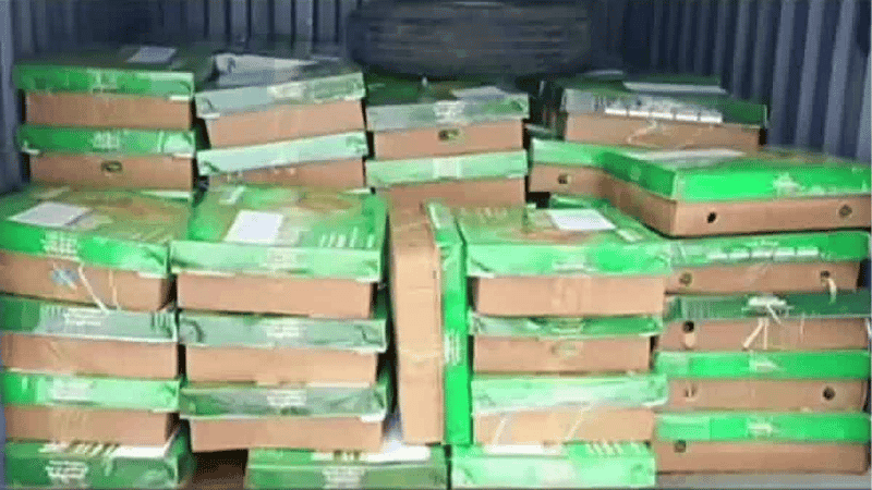 Bangladesh sends 600kg of mangoes to Tripura CM