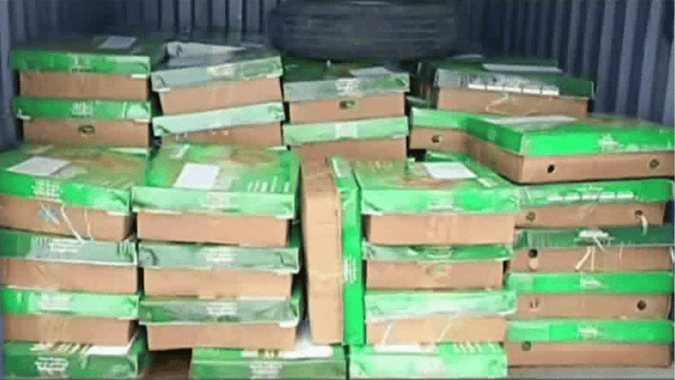 Bangladesh sends 600kg of mangoes to Tripura CM