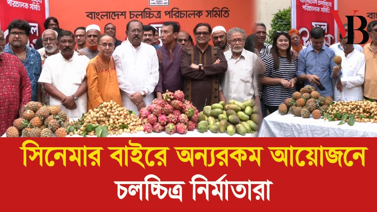 Filmmakers at different levels of cinema