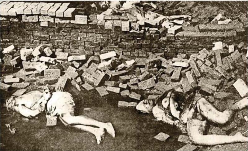 Bruised and battered Selina Parvin in shallow pit of abandoned brick kiln