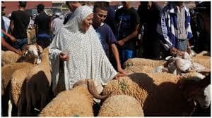Morocco suspends Eid al-Adha sacrifices amid economic crisis