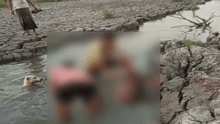 Spotted deer slaughtered in Mirsarai, 3 suspects identified