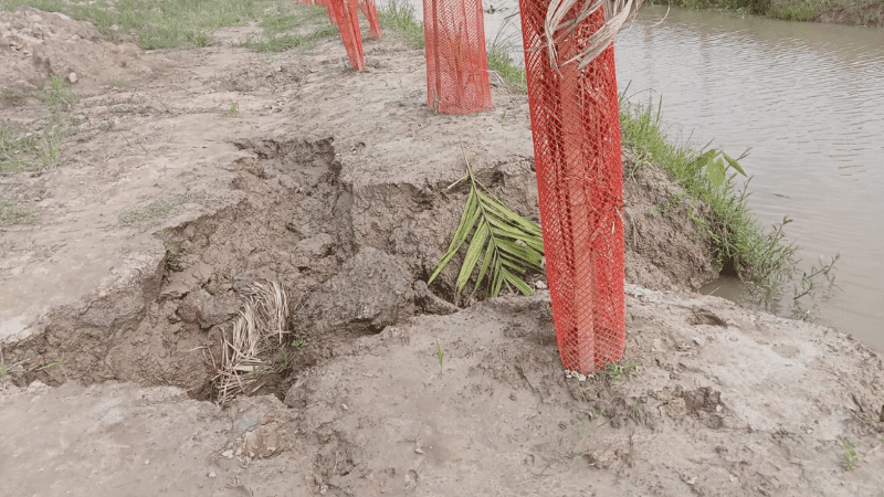 Excavator use in canal digging triggers farmland erosion in Bogura