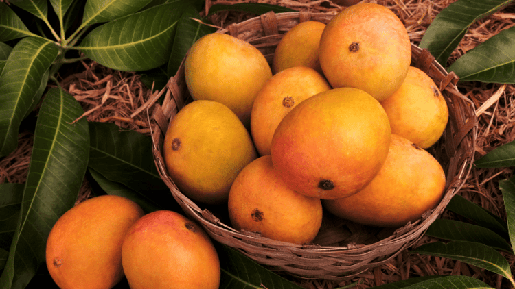 Tips to spot mangoes ripened with harmful chemicals