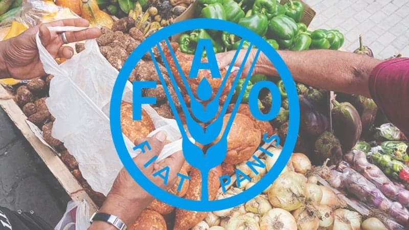 Rising war tensions push up global food prices: UN