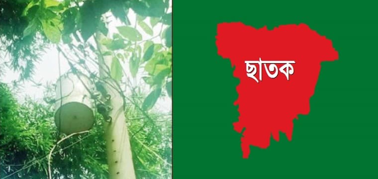 150 families in Chhatak still without electricity despite ‘fully electrified’ status
