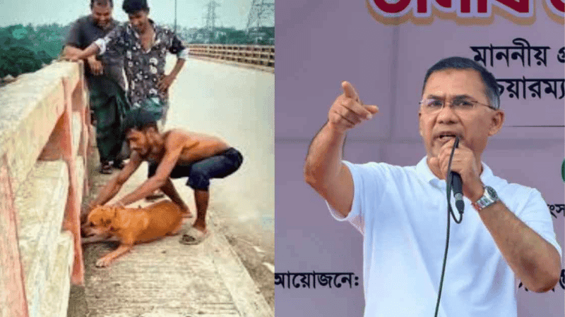 Viral dog abuse video leads to arrest, PM directs legal action against perpetrators