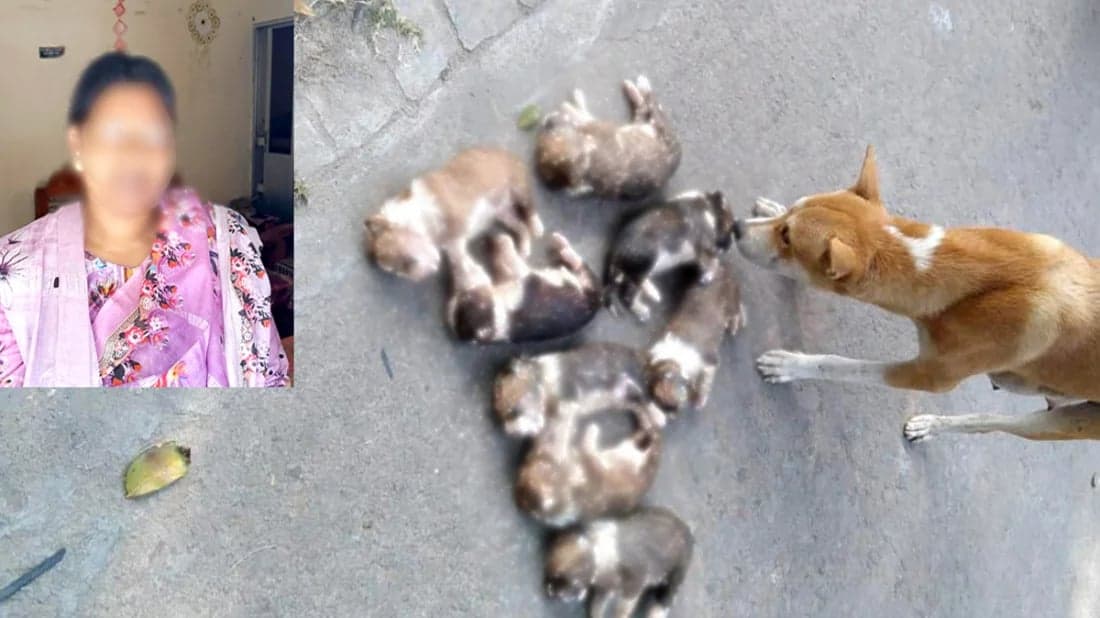Woman arrested over drowning of 8 puppies