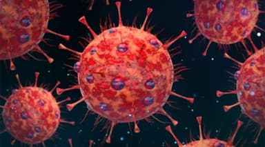 Covid: 1 dies, 6 new cases reported in 24 hours
