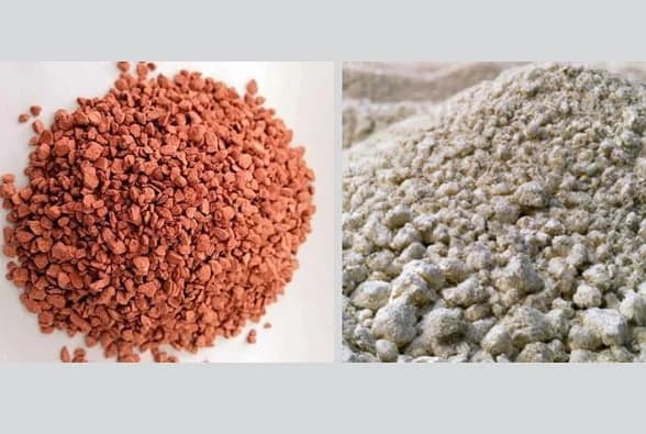 CCGP approves import of 10.75 lakh MT fertilizer
