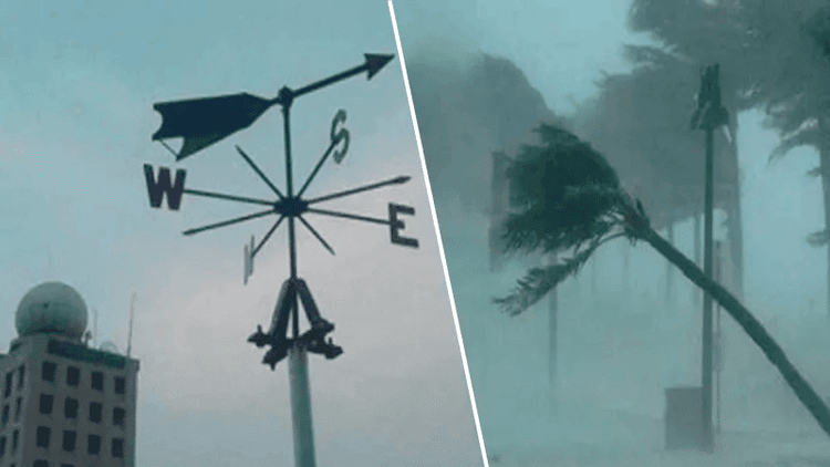 Thunderstorms likely in 18 districts as low pressure forms in Bay