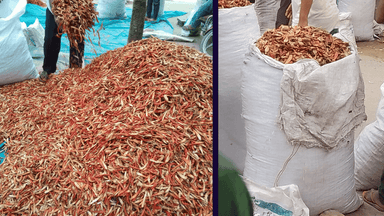 Rotten chillies openly sold at Panchagarh market, consumers at health risk