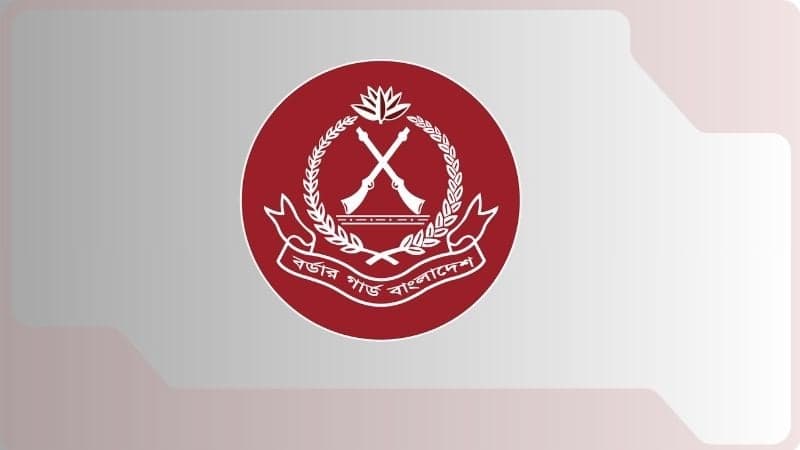 BGB seizes smuggled goods worth Tk 168 crore in Nov