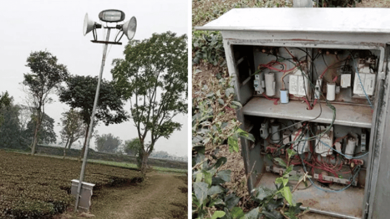 BSF sets electric pillars along Patgram border: BGB