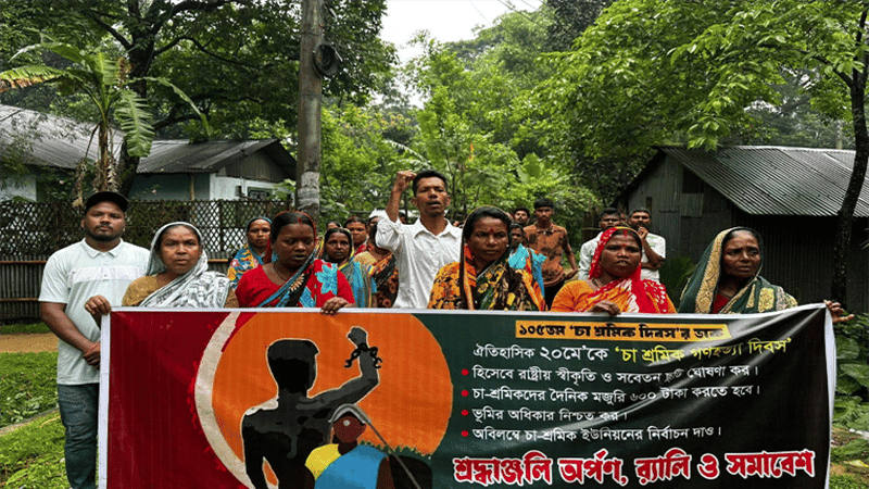 105 years of 'Muluk Cholo': Tea workers seek state recognition