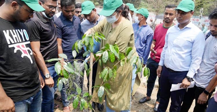 সৌন্দর্যবর্ধনের চেয়ে জরুরি পরিবেশ উপযোগী গাছ